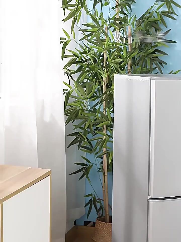 【開箱評測】租屋族省電救星！雙門迷你小冰箱：新一級能效、獨立冷凍庫，高CP值千元首選