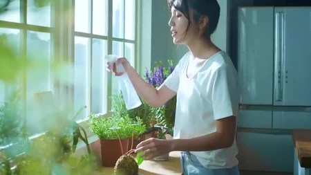 檸檬氣泡水推薦 5大清爽特色 適合運動後解渴 人氣選購指南